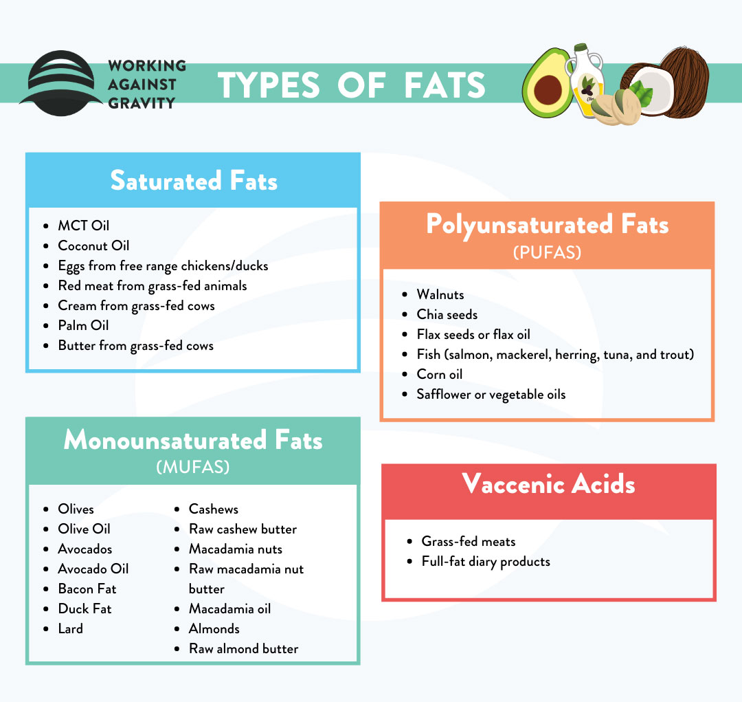 Knowledge Base - Seismic | Personalized nutrition, Flexible dieting ...